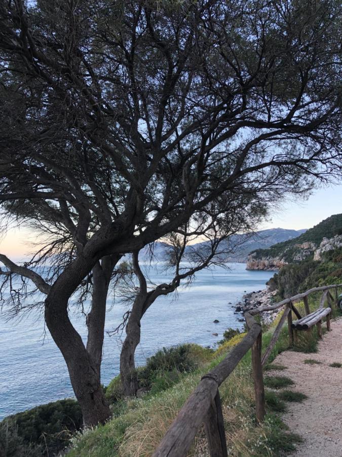Cala Gonone, Casa I Pini Daire Dış mekan fotoğraf