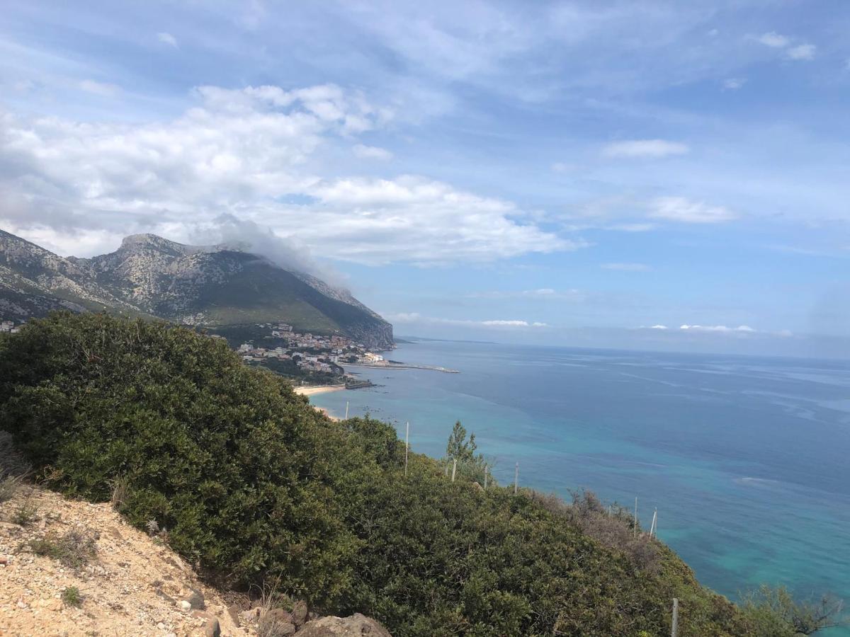 Cala Gonone, Casa I Pini Daire Dış mekan fotoğraf