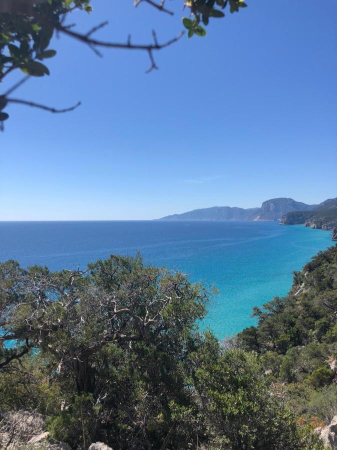 Cala Gonone, Casa I Pini Daire Dış mekan fotoğraf