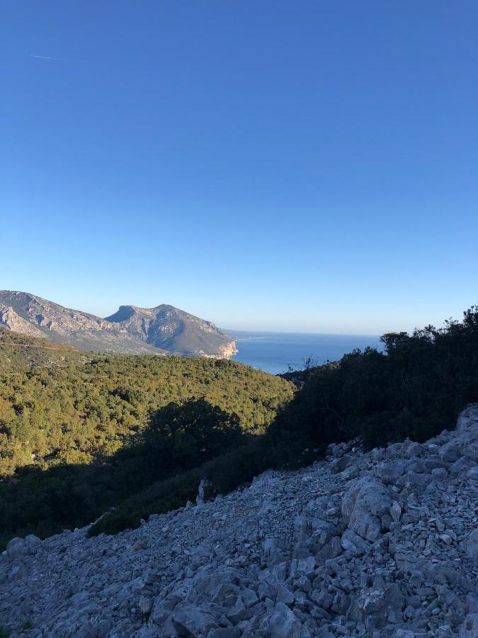 Cala Gonone, Casa I Pini Daire Dış mekan fotoğraf